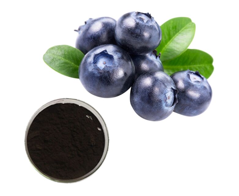Blueberry extract in Prostamin Forte