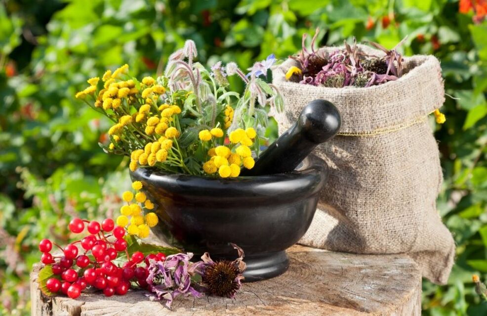 Medicinal herbs are used in the treatment of prostatitis